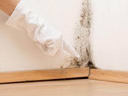 Best Mold Odor Removal Services  in Beverly Hills, CA